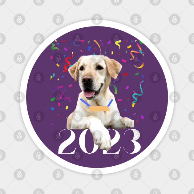 New Year 2023 Celebrate Magnet by B C Designs